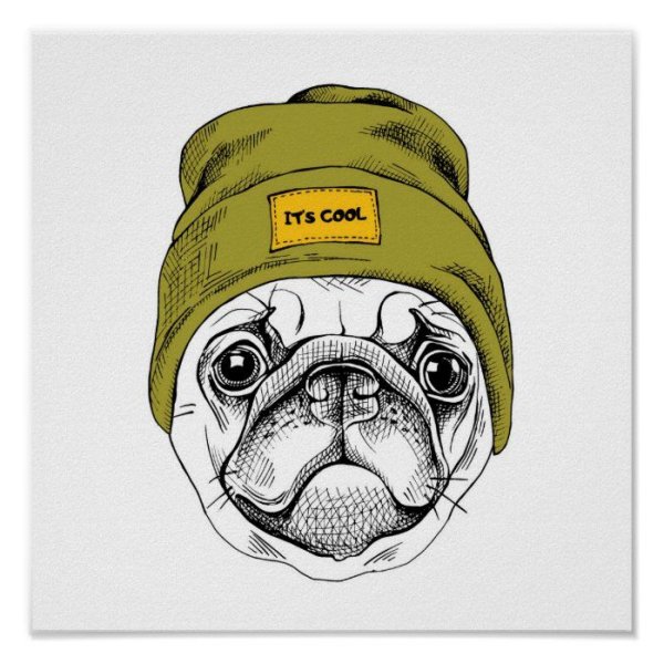 Мопс векторный