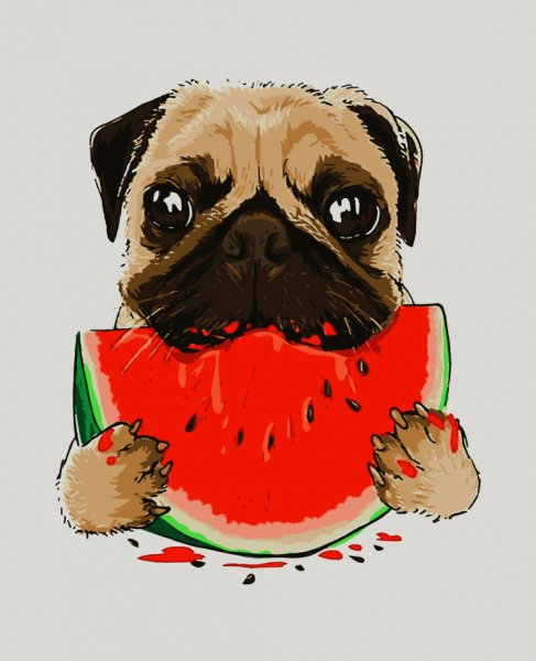 Мопс с арбузом арт