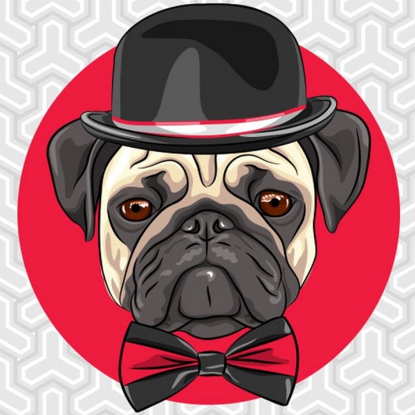 Мопс на аву