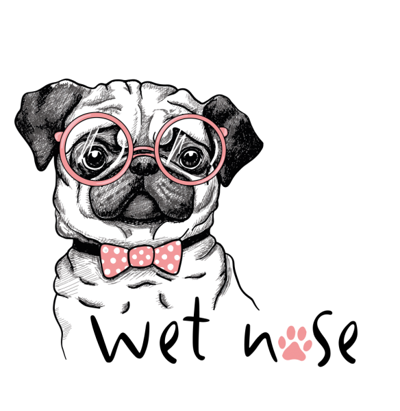 Мопс вектор