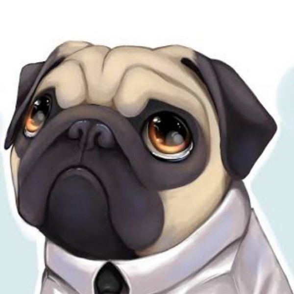 Морда МОПСА