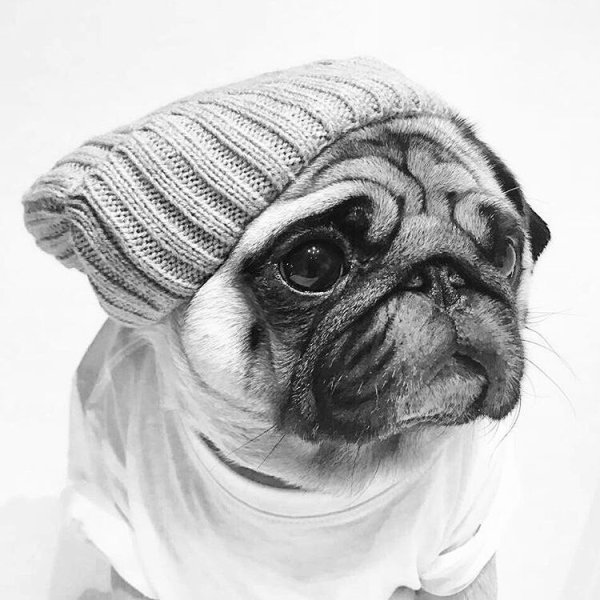 Набросок МОПСА