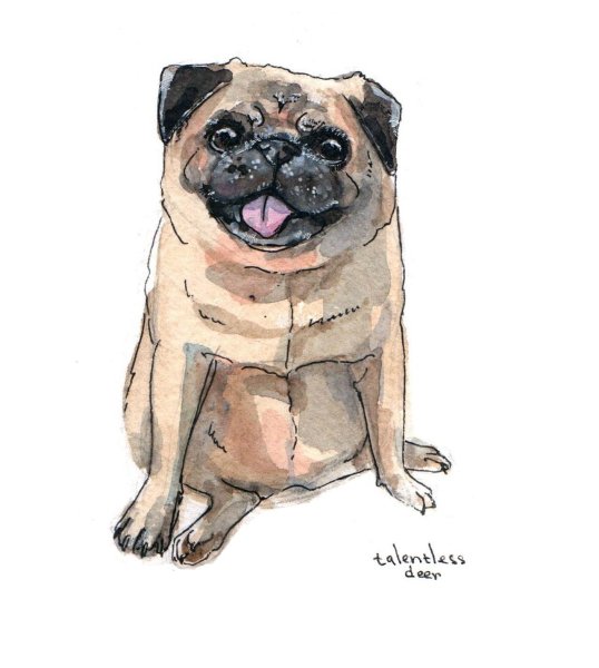 Лёгкие рисунки МОПСА