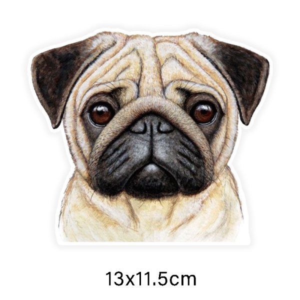 Мопс акварелью