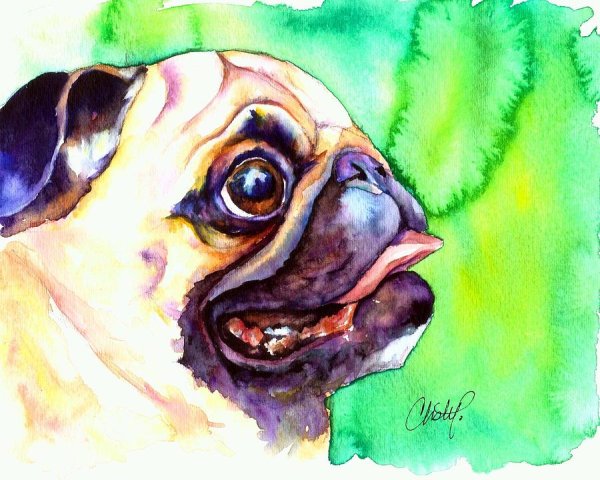 Мультяшные мопсы