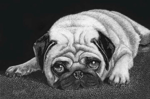 Мопсик мультяшный