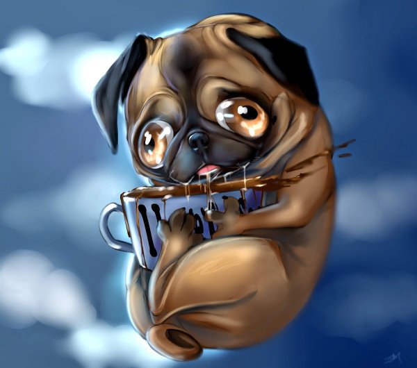 Раскраска маленький Мопс