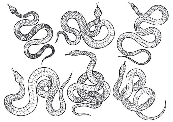 Тату змеи эскизы