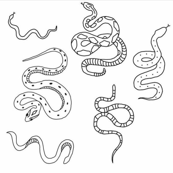 Маленькие тату эскизы змея