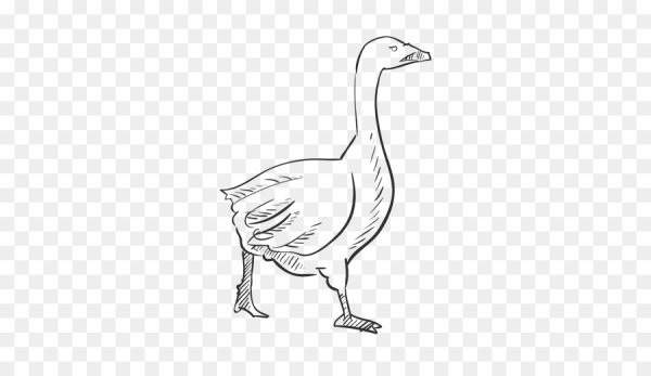 Гусь эскиз