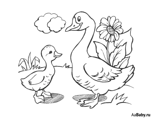 Гусь гусыня гусенок раскраска для детей