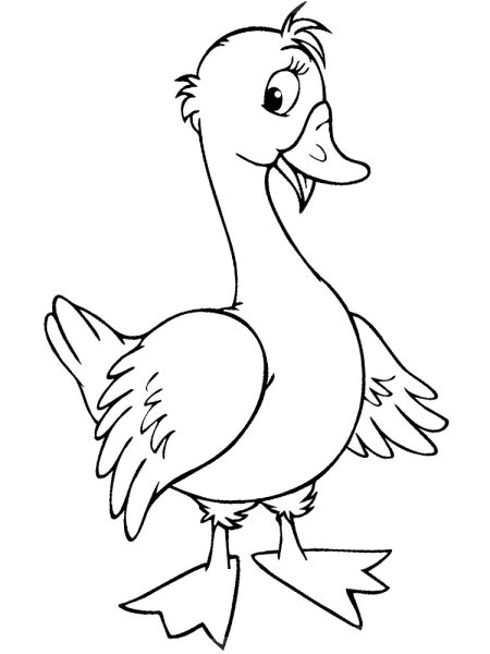 Домашние птицы раскраска для детей