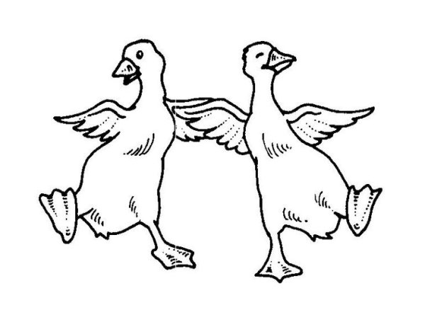 Гусь раскраска