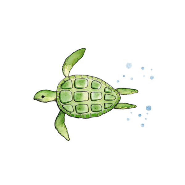 Нарисовать морскую черепашку