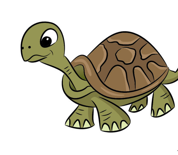 Раскраски черепах