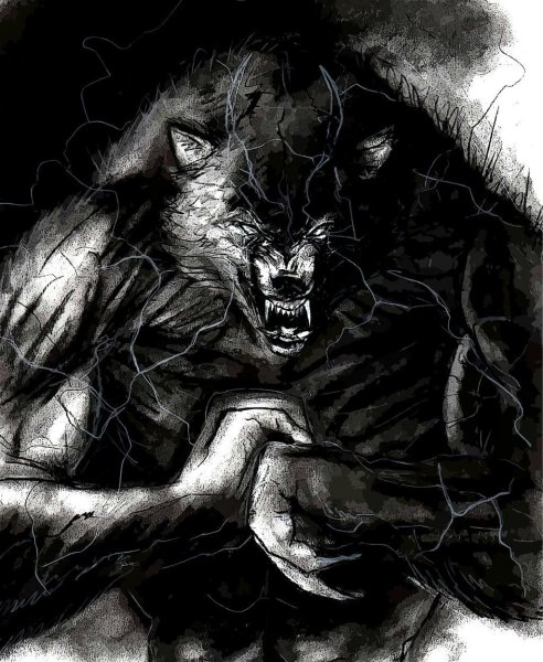 Волк оборотень