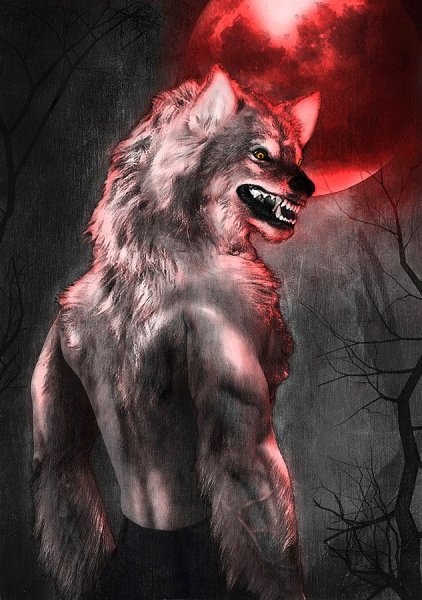 Оборотень заставка