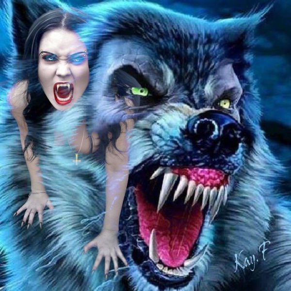 Чехол Gosso 187832w для Honor 10