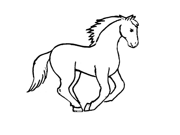 Раскраска лошадь маленькая