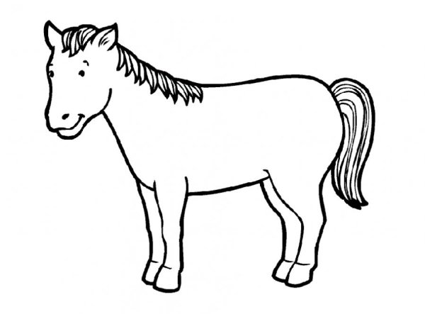 Конь схематично