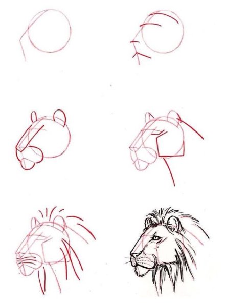 Поэтапное рисование Супермена