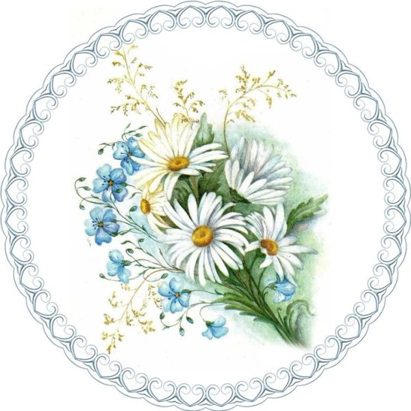 Мандала Инь Янь