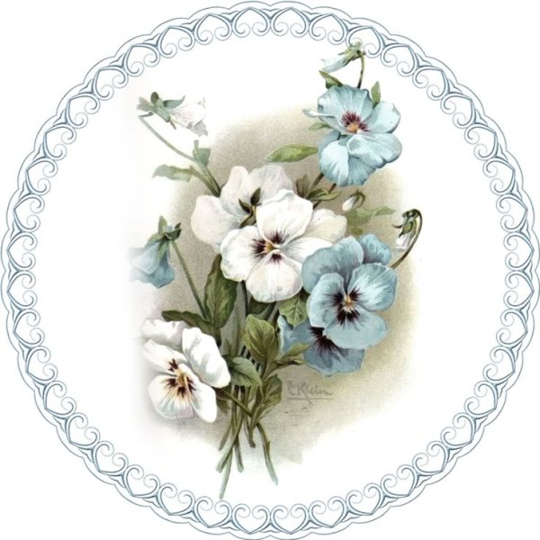 Мордочка панды