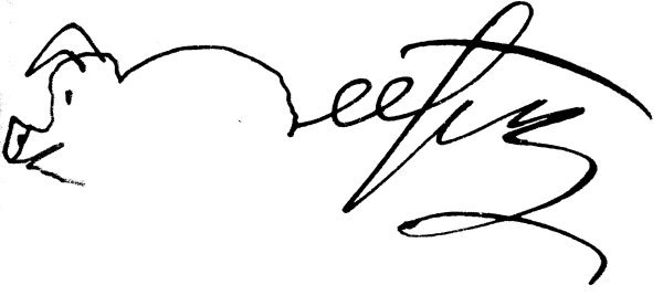 Красивые элементы для подписи