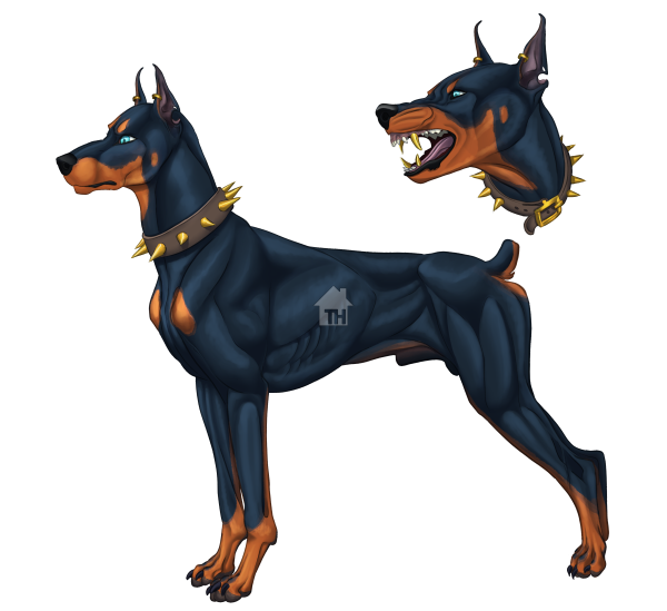 Собака Доберман