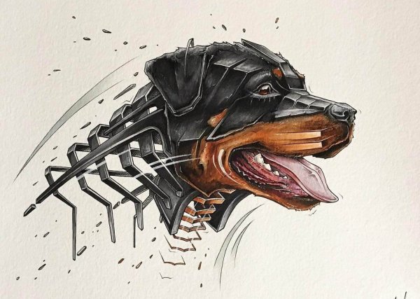 Ротвейлер эскиз