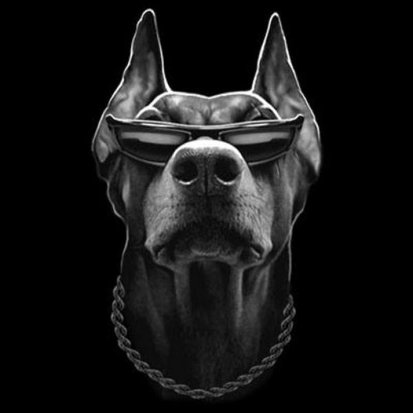 Доберман аватар