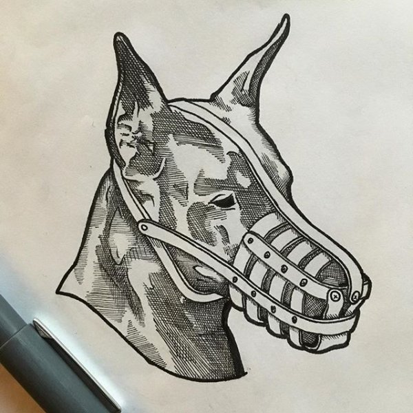 Доберман mxdvs