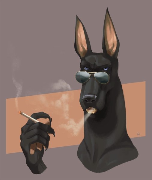 Доберман арт