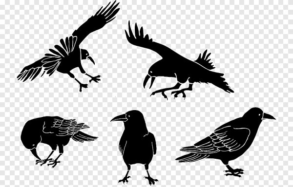 Стилизованный ворон