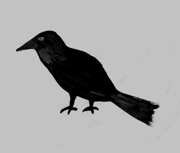 Нарисовать ворона