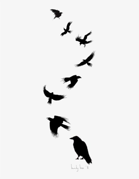 Тату стая птиц мужские