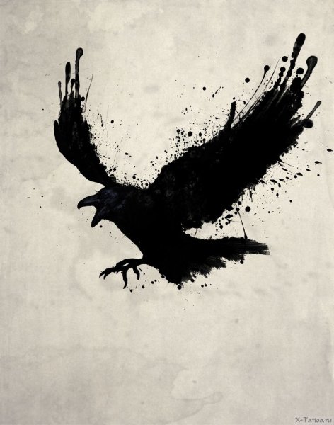 Ворон тату эскиз