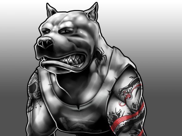 Питбуль арт