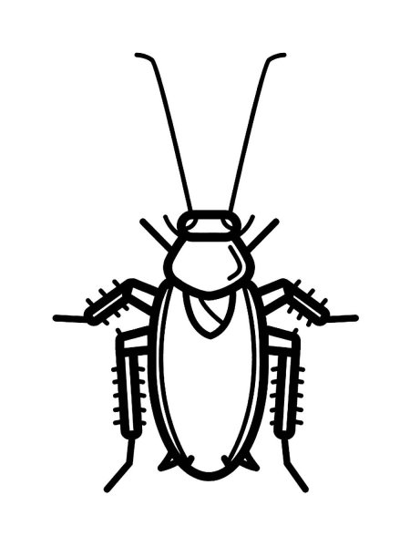 Таракан раскраска