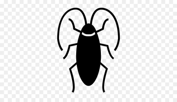 Таракан рисунок карандашом