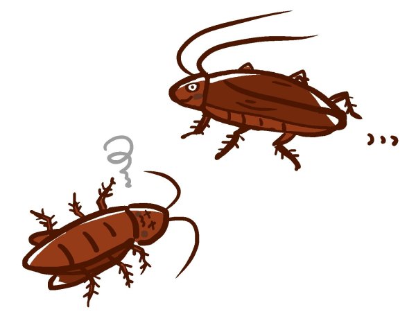 Таракан с рисунком на спине