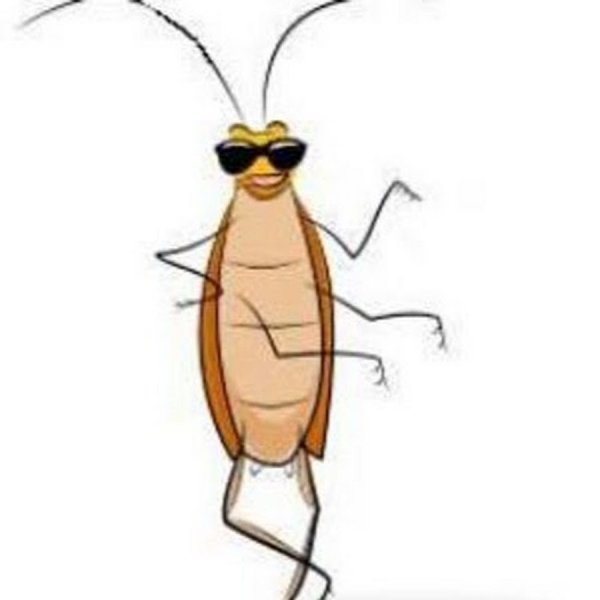 Таракан разведчик