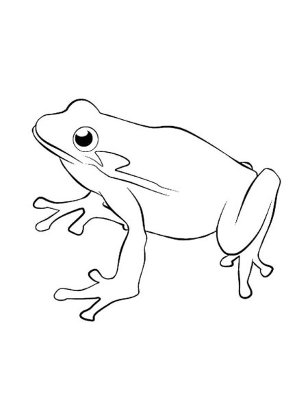 Раскраска лягушка Фрог