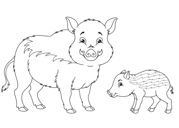 Дикий кабан раскраска для детей