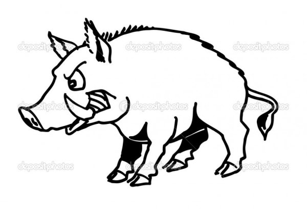 Дикие животные дикий кабан контурное изображение