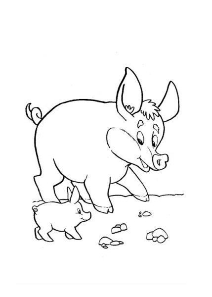 Раскраска свинья и поросенок для детей