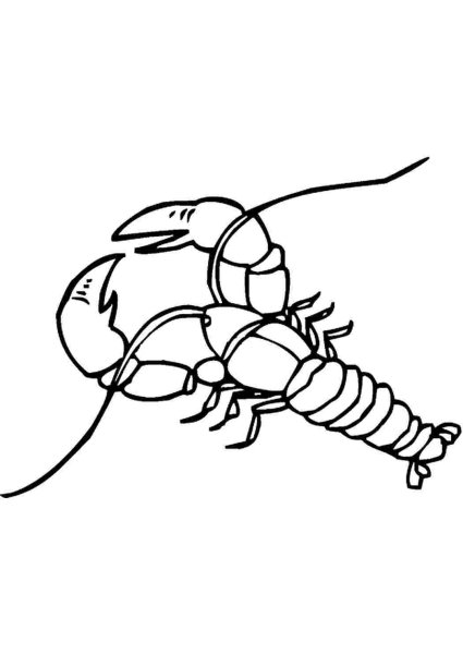 Рачки рисунок карандашом