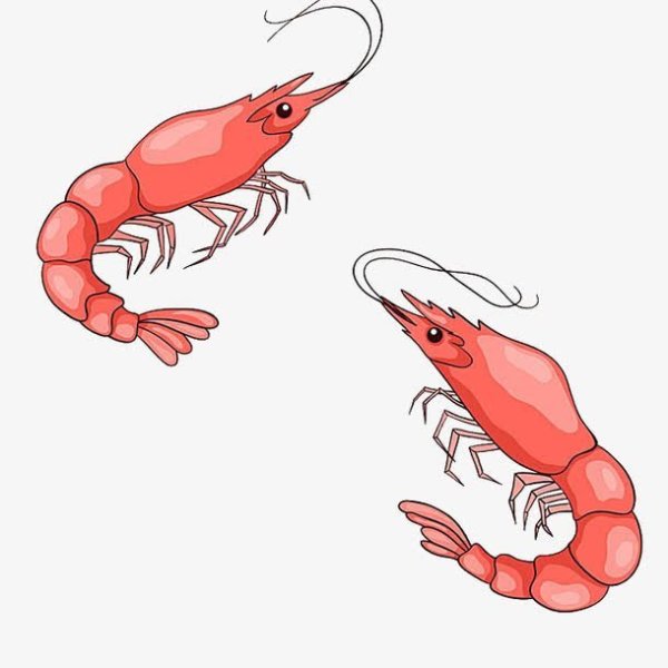 Креветка референс