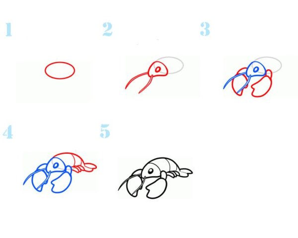 Поэтапный рисунок рака.