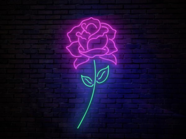 Неоновый Пингвин